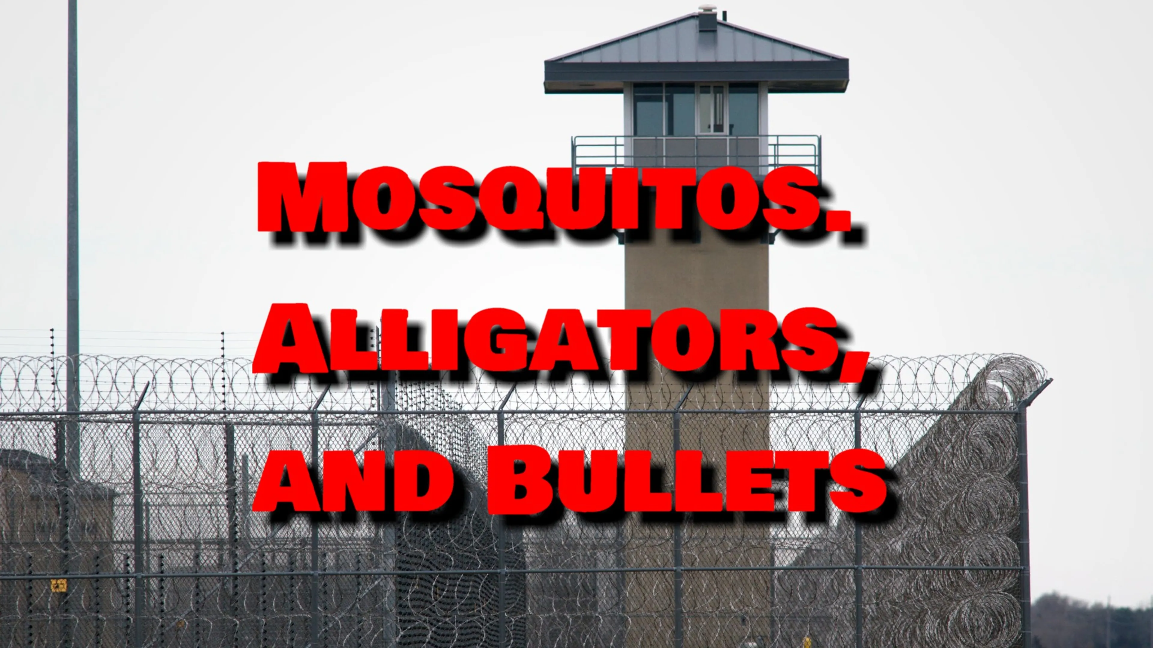 Mosquitos, Alligators, and Bullets poster